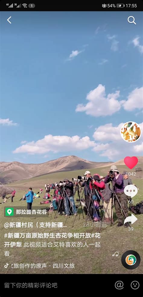 新疆短视频seo渠道