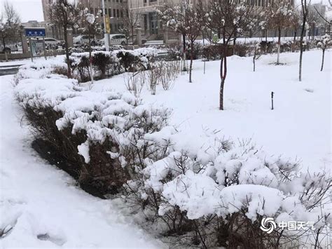 新疆雪灾最新消息积雪深度