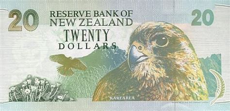 新西兰20元能买什么
