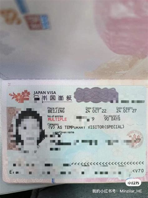 日本签证年流水