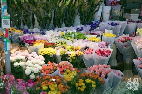 昆明市最便宜的花盆批发市场