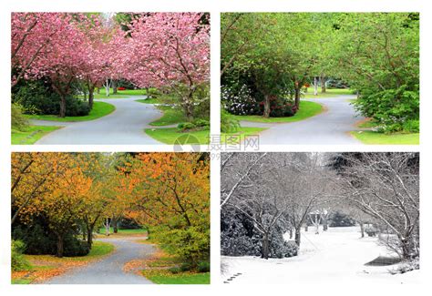 春夏秋冬真实四季照片