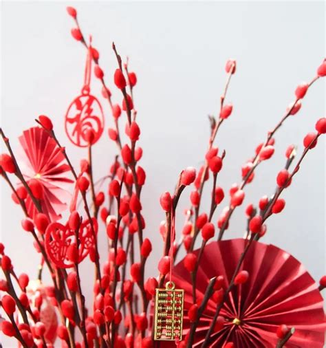 春节红色花卉推荐