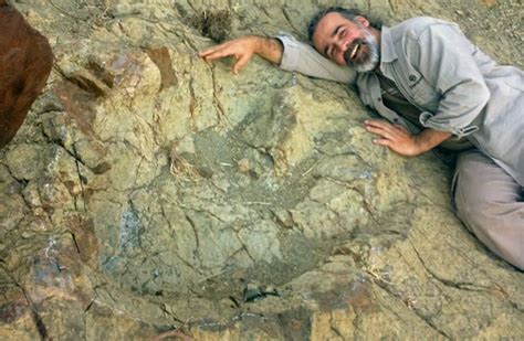 最大恐龙足迹化石