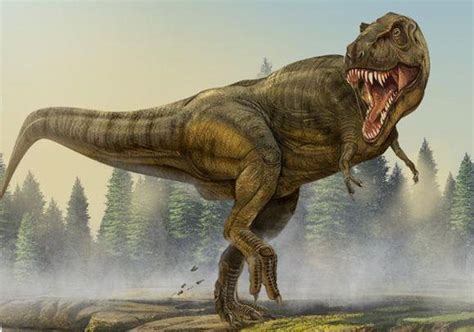 最大的食肉恐龙是什么龙