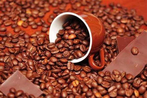 最好的咖啡豆排名前十位品牌