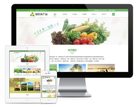 朝阳农产品网站建设最新