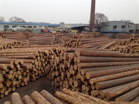 木材行业取什么厂名最好呢