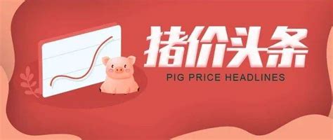 未来猪价涨跌怎么看