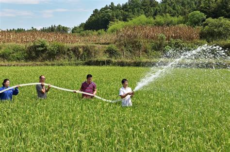 村民因为水田灌溉发生矛盾