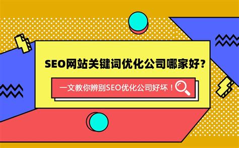 杨浦区企业官网网站优化哪家好