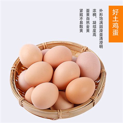 柴鸡蛋一箱10斤多少钱