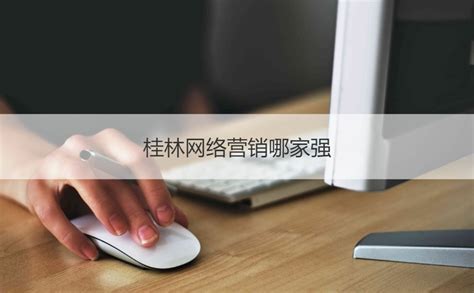 桂林网络营销产品