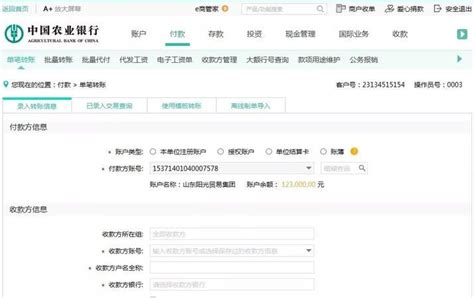 桂林银行对公账户网银怎么使用