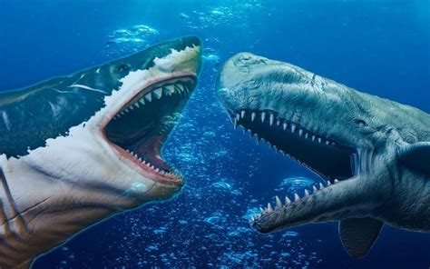 梅尔维尔鲸和巨齿鲨
