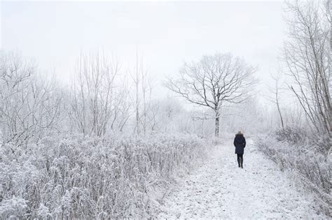 梦见一个人在冰天雪地里行走