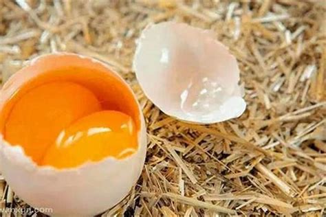 梦见买鸡蛋是什么意思呢