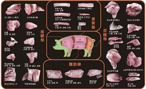 梦见分割猪肉