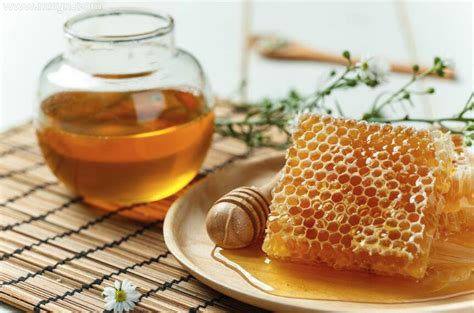 梦见吃蜂巢里的蜂蜜