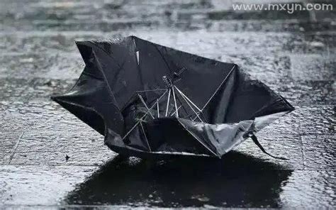 梦见自己的雨伞完全坏了不能用