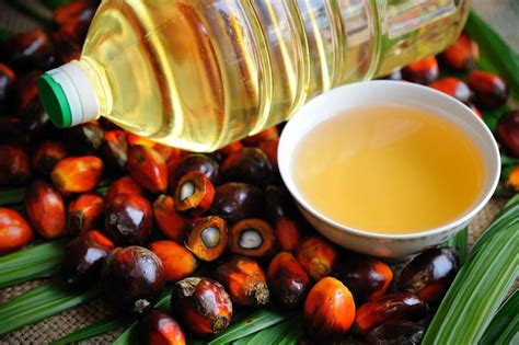 棕榈油到底是否健康