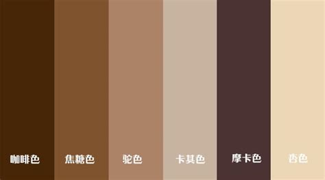 棕色是什么系列色彩