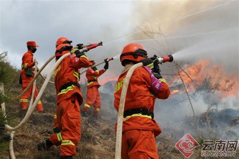 森林消防装备操作与使用总结