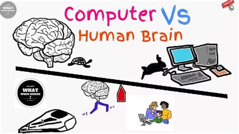 概括人脑与电脑的特征及优劣