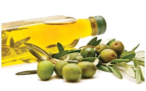 橄榄油是百分百脂肪吗