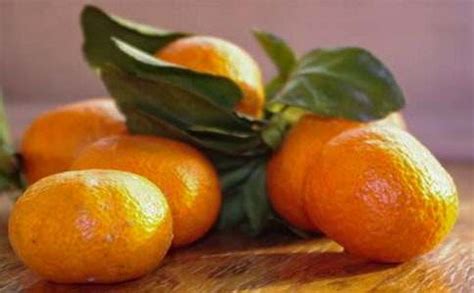 橘子作文怎么写