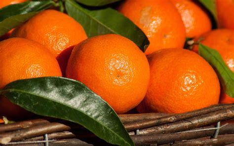 橘子水对新冠病毒有作用吗
