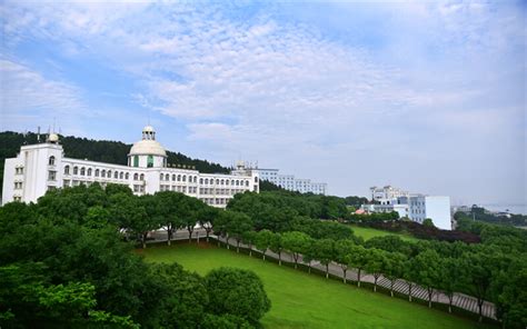 武昌理工学院是几本