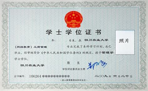 武汉大学补办学位证