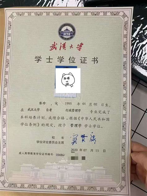 武汉学生证书