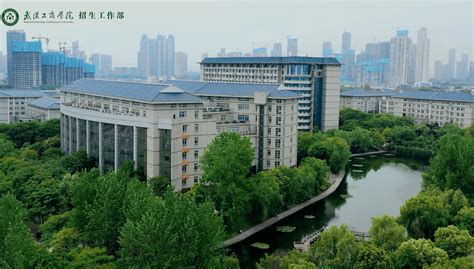 武汉工商学院的地址