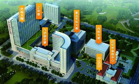 武汉市第一中医医院