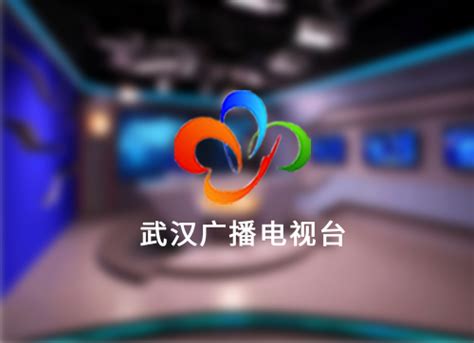 武汉广播电视台app直播