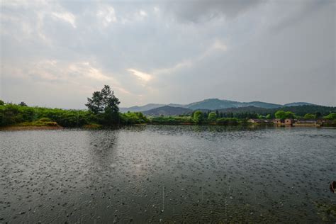 江西吉安池塘边图片