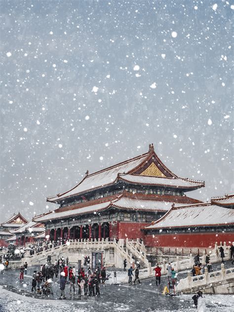 没看到北京的雪