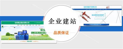 沧县现代化网站建设代理价格