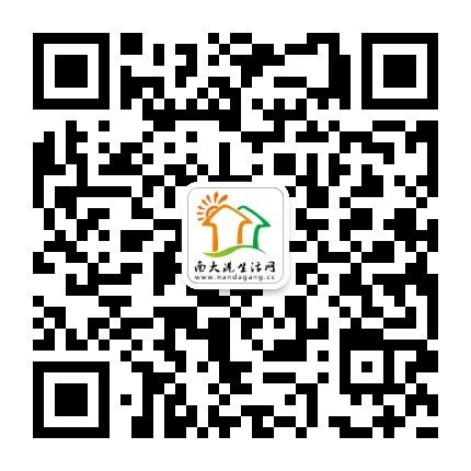 沧州品牌网站建设代理价格