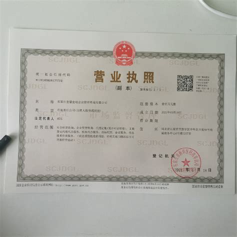 沧州市电器公司注册