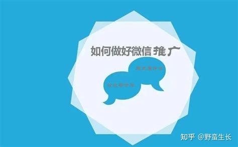 沧州怎么做网站推广和宣传