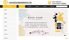 沧州网站推广营销