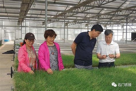河北省农业技术推广网