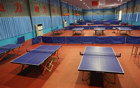 河南乒乓球培训机构