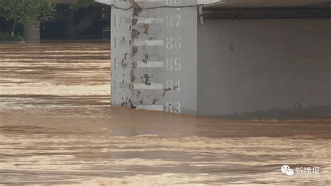 河南洪水最高水位线