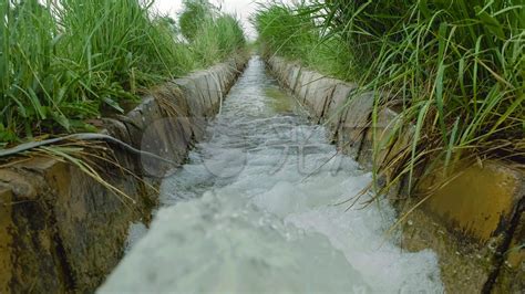 河水灌溉农田图片