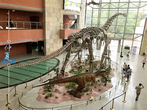 河源恐龙博物馆门票多少钱
