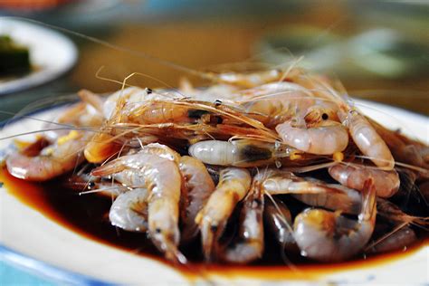 河虾最爱吃什么食物